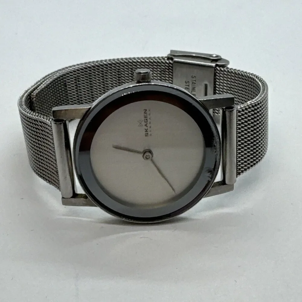Skagen 39SSS Women's Silver Stainless Steel Mesh Analog Dial Wrist Watch JNA571